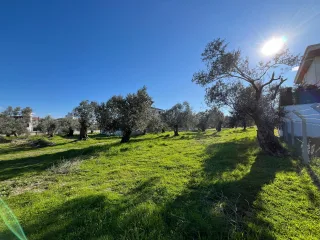 GÜRE İSKELESİ SALI PAZARI MEVKİ 371 METREKARE İMARLI ARSA - Görsel 4