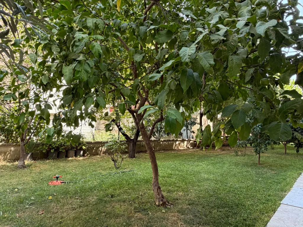ALTINKUM PAZAR CADDESİ YEŞİLLİKLERLE DOLU GİRİŞ KAT 2+1 - Görsel 23