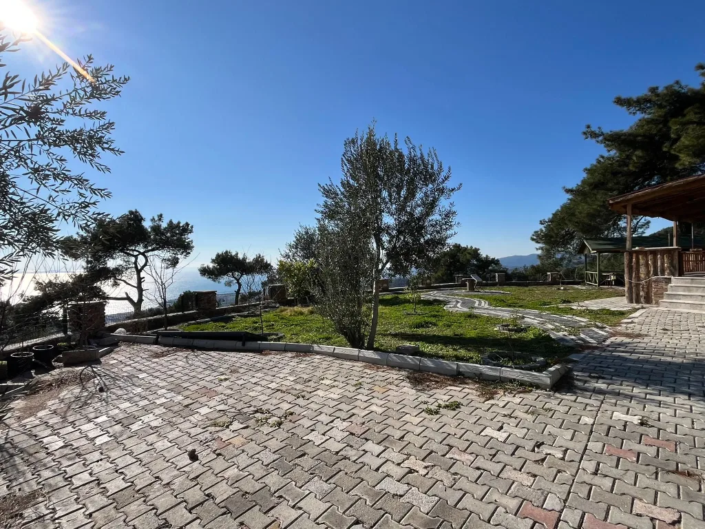 Altınolukta FULL Deniz Manzaralı İçerisinde Evi Olan 1.649 Metrekare Muhteşem Zeytinlik - Görsel 6