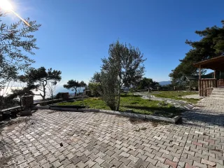 Altınolukta FULL Deniz Manzaralı İçerisinde Evi Olan 1.649 Metrekare Muhteşem Zeytinlik - Görsel 6