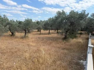 AKÇAY CEMİL TEMEL MEVKİ 795 METREKARE YASA ALIŞVERİŞ MERKEZİNE KOMŞU İMARLI SATILIK ARSA - Görsel 10
