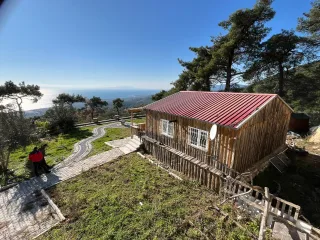Altınolukta FULL Deniz Manzaralı İçerisinde Evi Olan 1.649 Metrekare Muhteşem Zeytinlik - Görsel 1