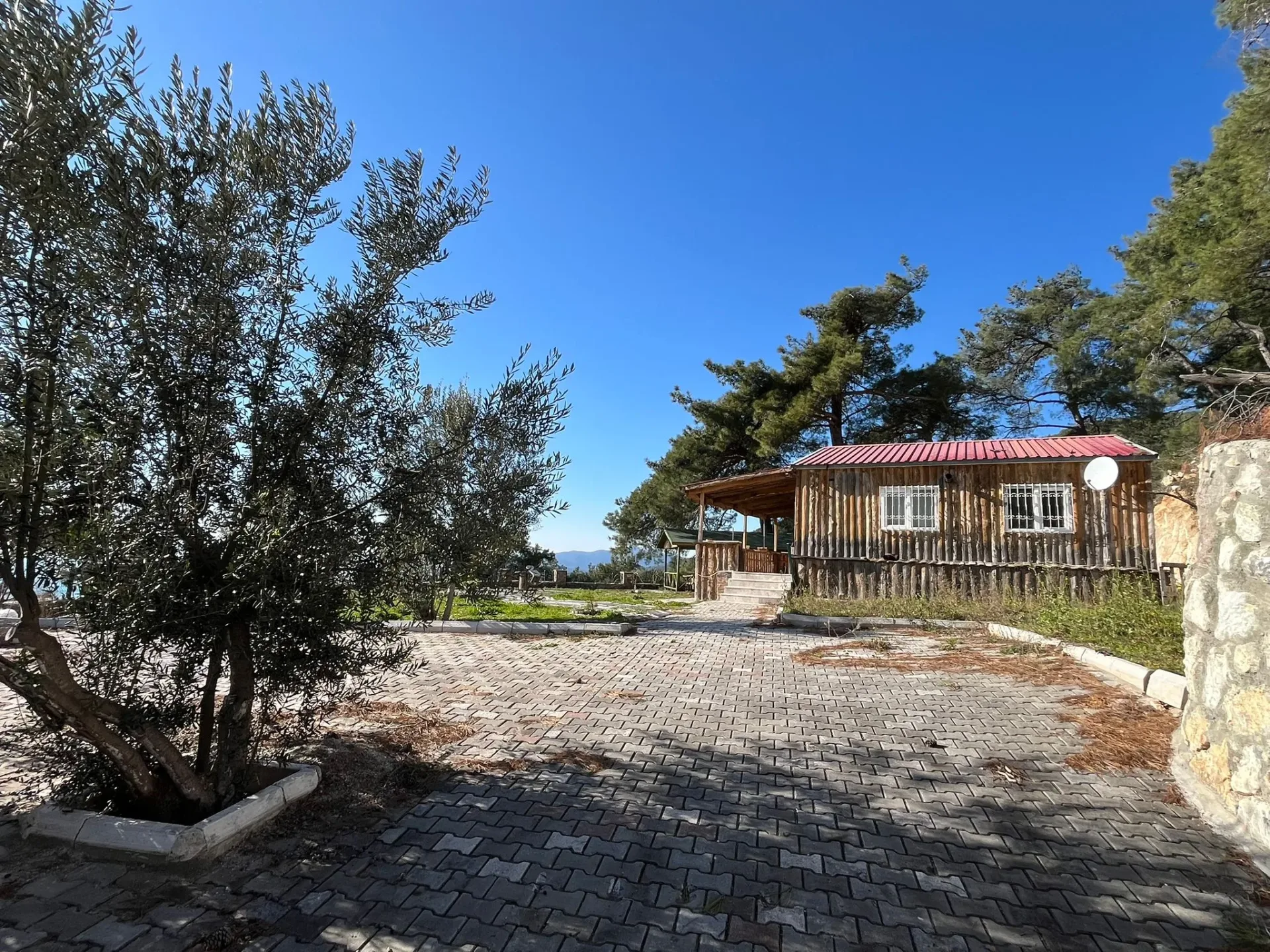 Altınolukta FULL Deniz Manzaralı İçerisinde Evi Olan 1.649 Metrekare Muhteşem Zeytinlik - Görsel 16