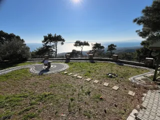 Altınolukta FULL Deniz Manzaralı İçerisinde Evi Olan 1.649 Metrekare Muhteşem Zeytinlik - Görsel 12