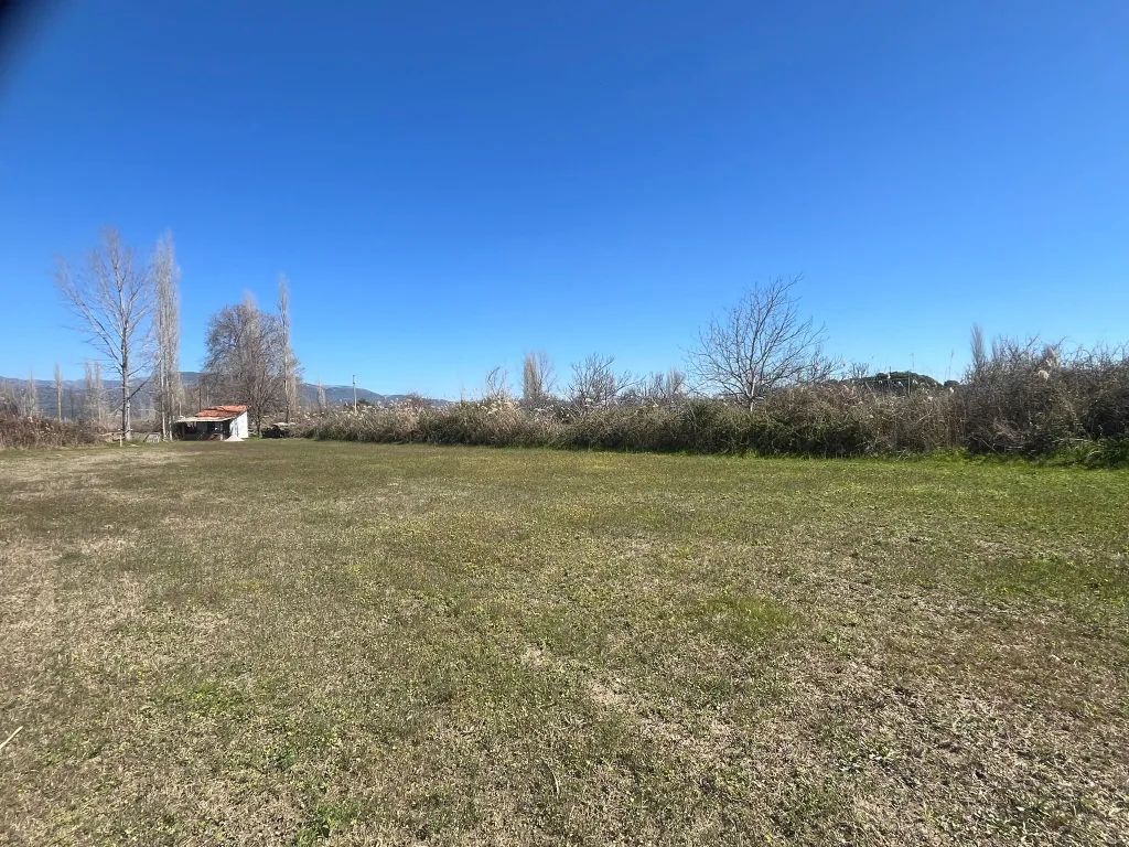 AKÇAY ALTINKUM ARKASINDA YATIRIMLIK 2.300 METREKARE TARLA - Görsel 2