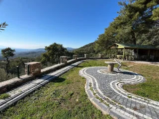 Altınolukta FULL Deniz Manzaralı İçerisinde Evi Olan 1.649 Metrekare Muhteşem Zeytinlik - Görsel 13