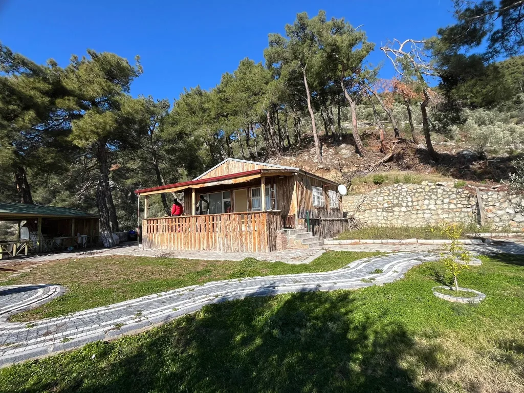 Altınolukta FULL Deniz Manzaralı İçerisinde Evi Olan 1.649 Metrekare Muhteşem Zeytinlik - Görsel 17