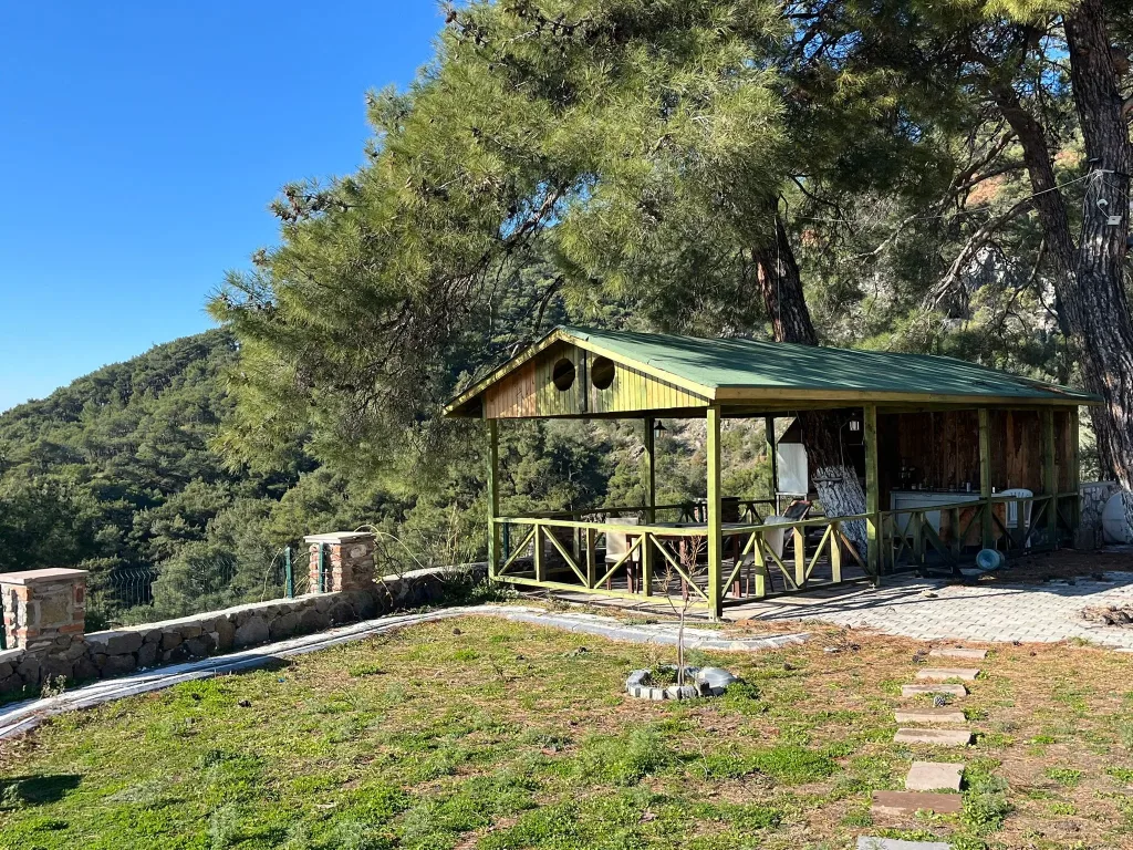 Altınolukta FULL Deniz Manzaralı İçerisinde Evi Olan 1.649 Metrekare Muhteşem Zeytinlik - Görsel 4