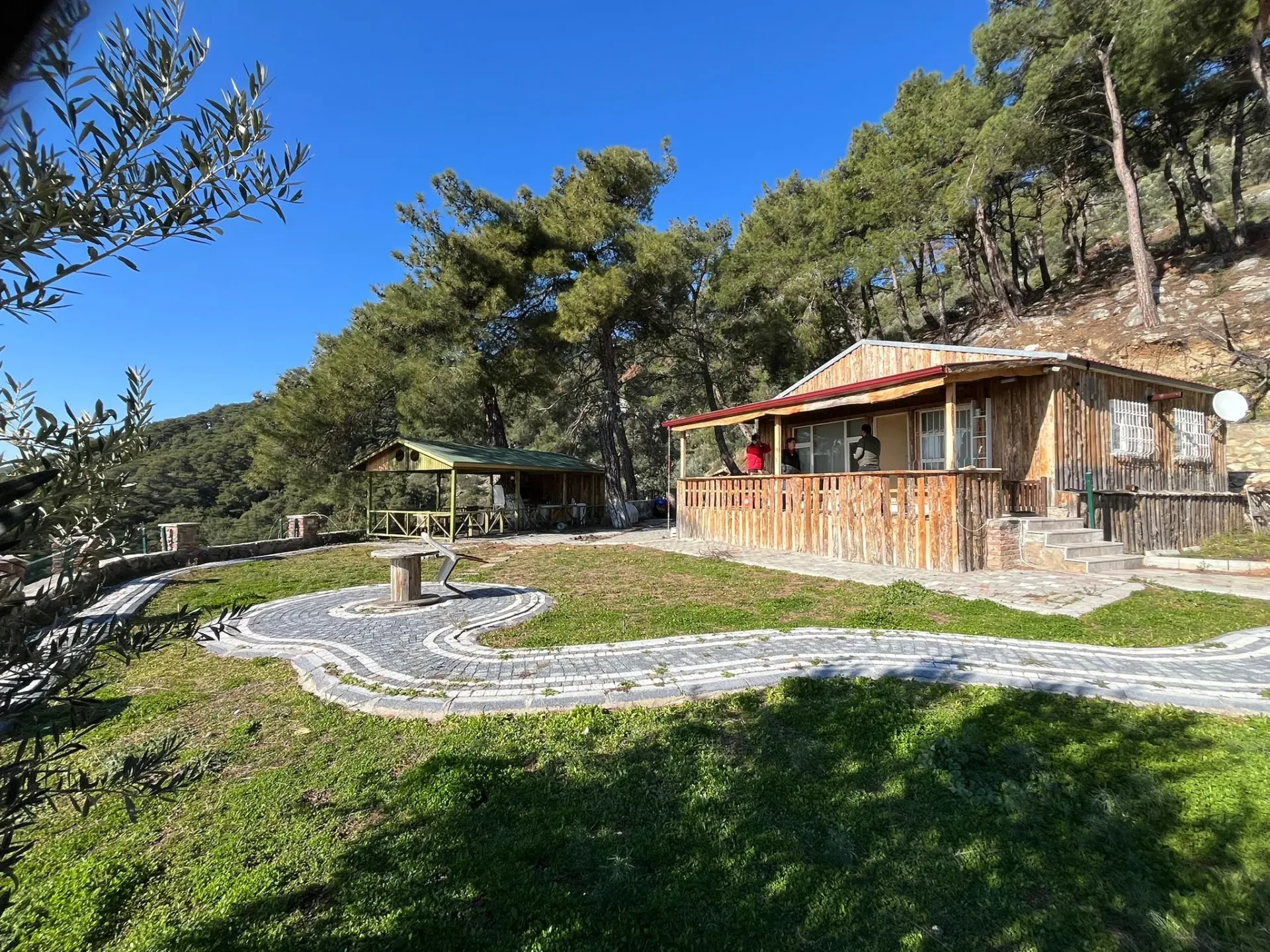 Altınolukta FULL Deniz Manzaralı İçerisinde Evi Olan 1.649 Metrekare Muhteşem Zeytinlik - Görsel 3